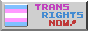 a button with a transgender flag on it and text saying 'Trans rights now'